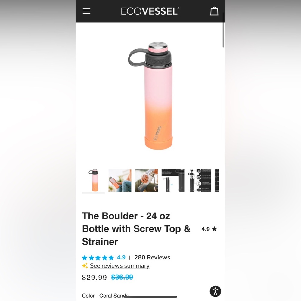 New ECOVESSEL Water Bottle with strainer No Box